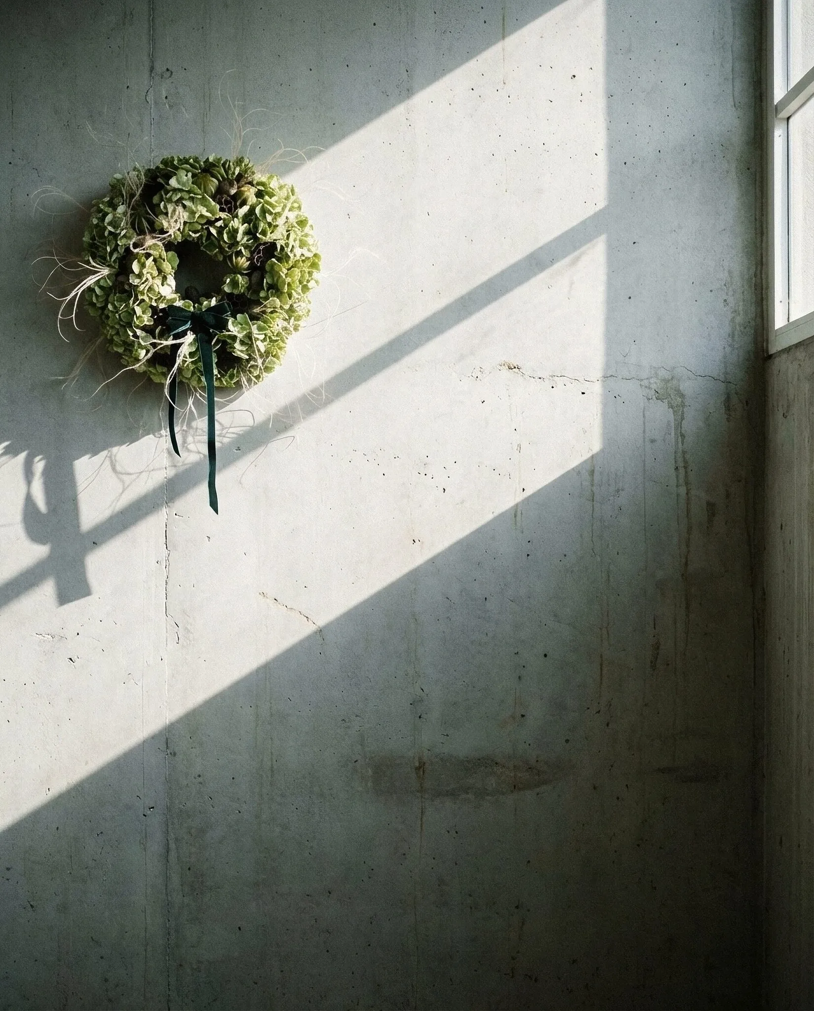 Natural green hydrangea Christmas wreath with lotus pods, poppy pods and preserved green oranges with velvet bow handmade in London - image 3